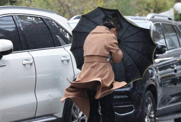 강풍 경보 발령시 생활 수칙과 안전 대비법 완벽 가이드 2026