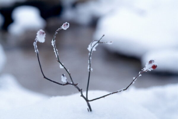 2026년 소한 날짜와 의미, 겨울철 건강 관리법까지 완벽 정리